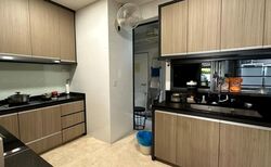 The Trizon (D10), Condominium #568224451